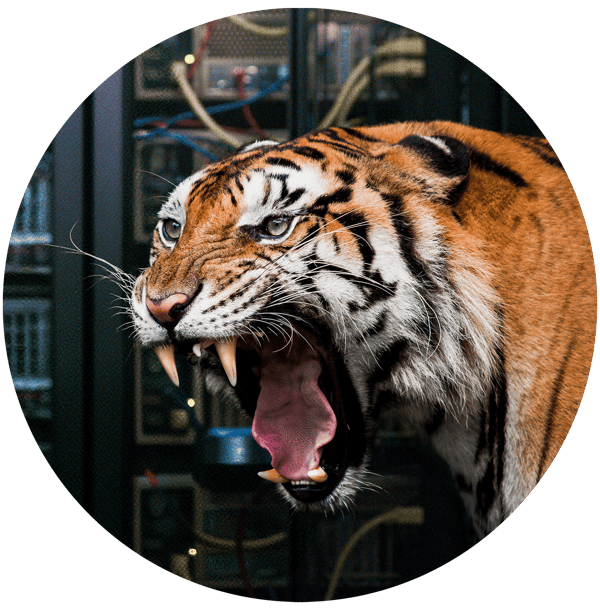 cutout tiger ipo