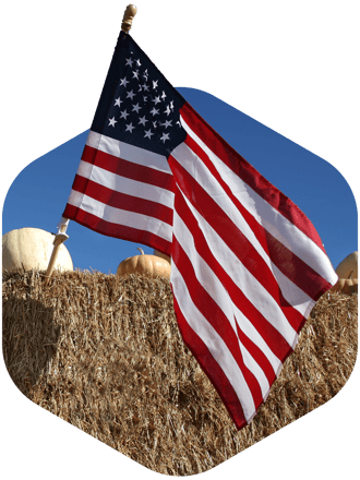 flagcutout flagcutout