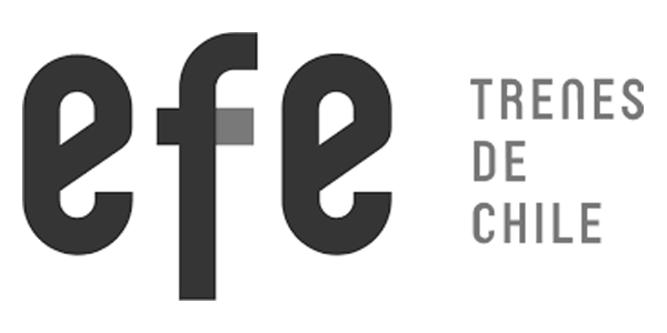 efe logo